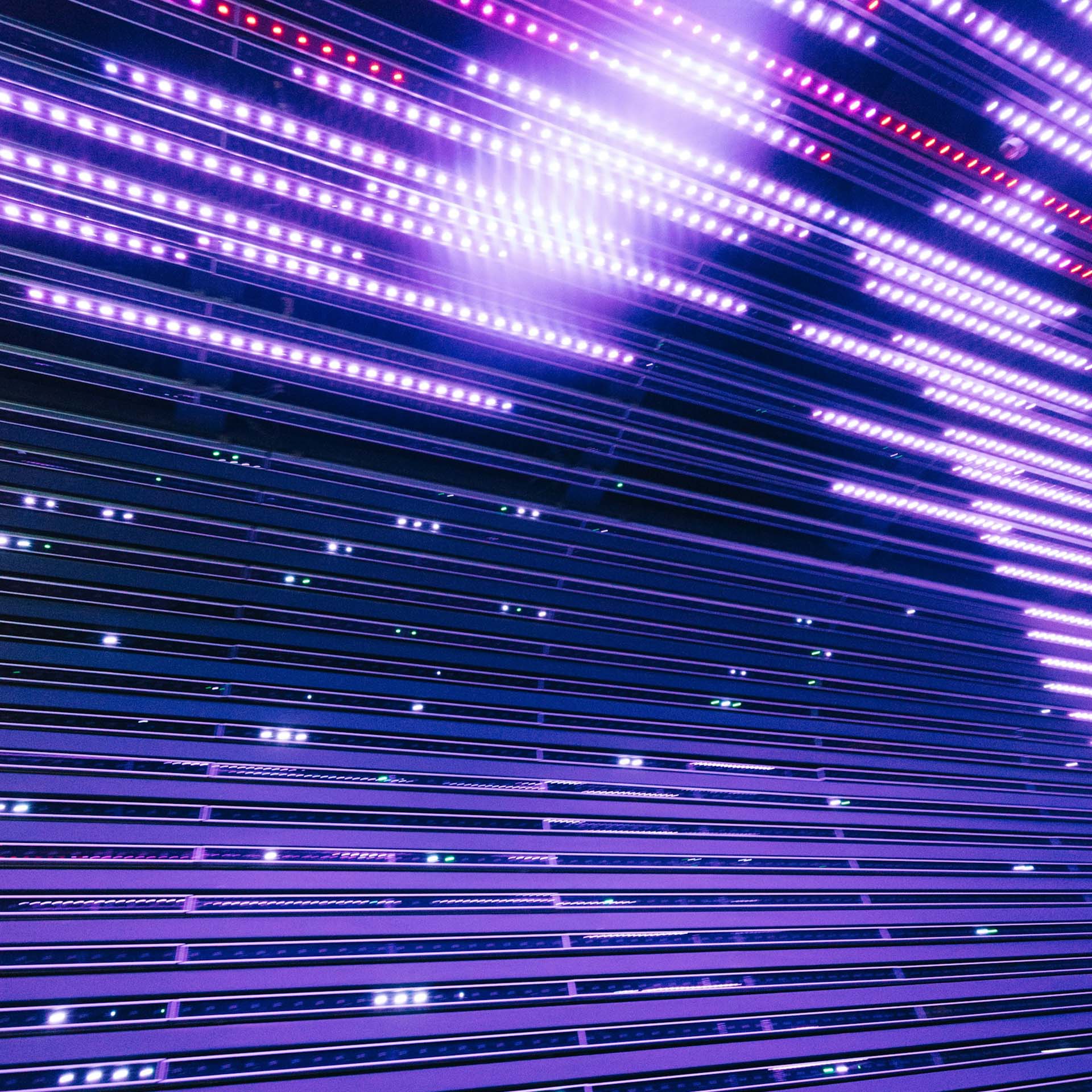 LEDs